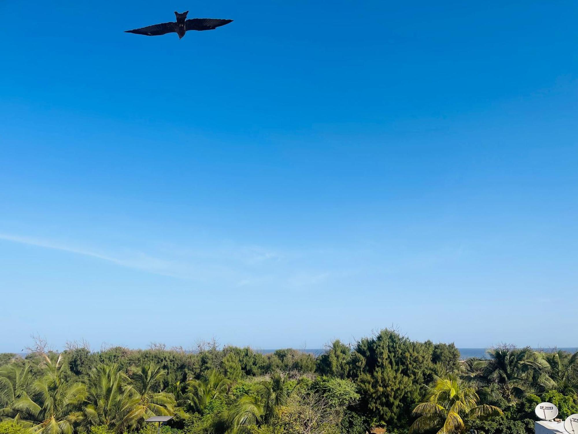 Villa Diam La Paix Guediawaye Esterno foto